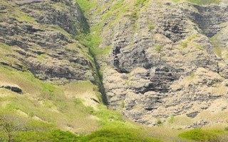 火奴鲁鲁旅游怎么玩？攻略有哪些必打卡？