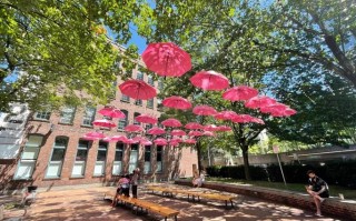 yale town旅游攻略