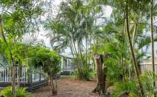 hervey bay旅游攻略