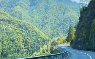 上海周边一日自驾游推荐