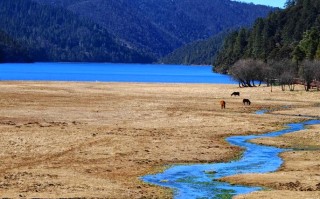 自驾游普达措国家公园怎么玩才最尽兴？