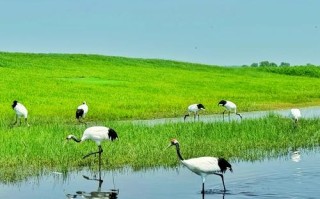 齐齐哈尔热门旅游景点有哪些？