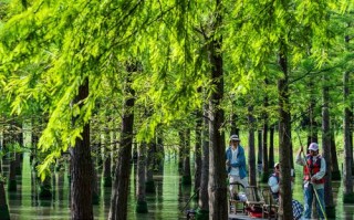 宿迁周边自驾游，哪些景点值得一去？