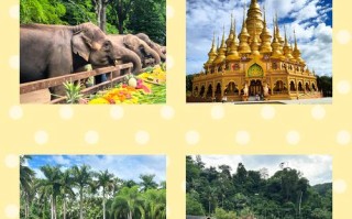 西双版纳4天自驾游路线怎么安排？