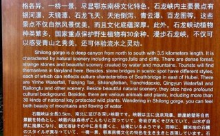 湖北九宫山有哪些必游景点？