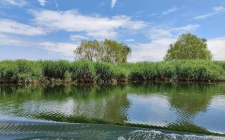 白洋淀旅游攻略2025