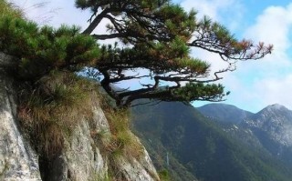 宜春有哪些必游景点？