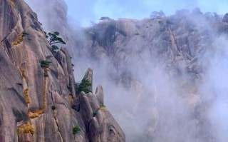 上海出发2日自驾游，有哪些推荐路线？