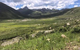 成都至年保玉则自驾游攻略有哪些？