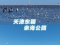 天津周边200公里自驾游，有哪些必去小众地？