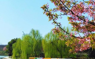 芜湖有哪些必游景点？