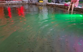 九连山温泉自驾游团购怎么买最划算？