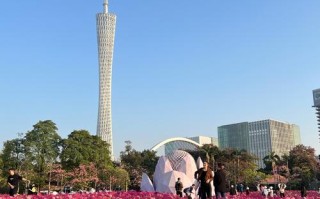 广州有哪些绝美花海旅游景点？