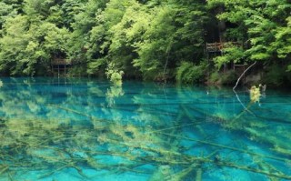 九寨沟有哪些必游景点？