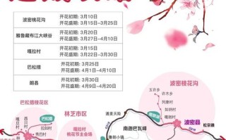 冬天林芝怎么玩？有哪些必打卡景点？