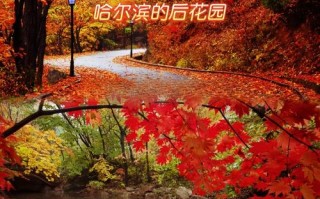 哈尔滨五常凤凰山旅游攻略