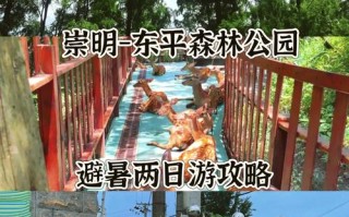 东平国家森林公园旅游攻略