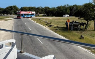 Cayo Coco怎么玩？必去景点+美食攻略？