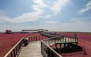 盘锦十一月有哪些好玩的景点？