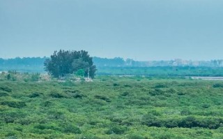 七彩贝丘湾自驾游怎么玩？