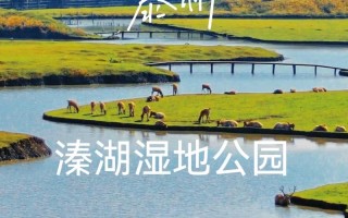 泰州旅游攻略有哪些必打卡景点？