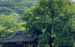 绍兴诸暨有哪些必游景点？