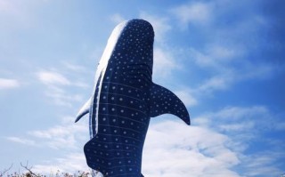 自驾游珠海长隆海洋王国