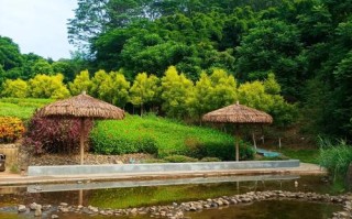 萍乡周边有哪些值得一游的景点？