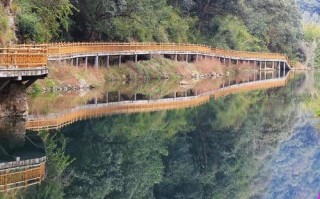 广东自驾游有哪些必打卡景点？