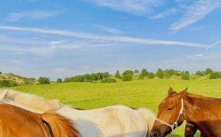 北戴河草原怎么玩？攻略有哪些必去景点？