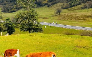 重庆武隆仙女山旅游怎么玩最尽兴？