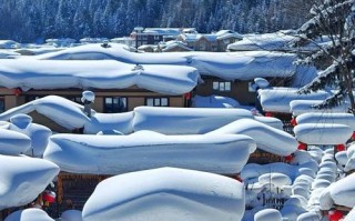 哈尔滨周边一日游去哪玩？