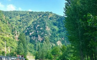 上海到济南自驾游，沿途有哪些必打卡景点？