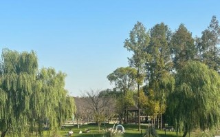 上海宝山顾村公园自驾游