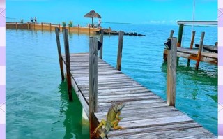 Key Largo怎么玩？最全攻略在这！