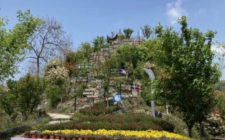 十堰有哪些必打卡的景点？