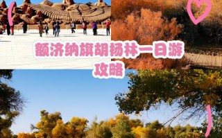 重庆到额济纳旗怎么玩？攻略路线有哪些？