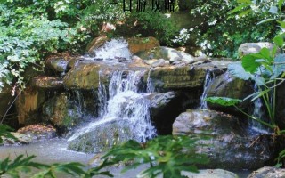 广州周边有哪些必打卡景点？