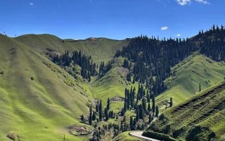 伊犁有哪些必游景点？