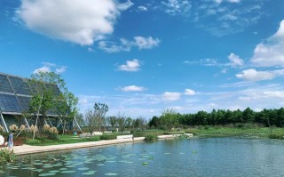 东滩湿地公园自驾游团购怎么最划算？