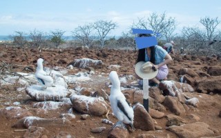 galapagos旅游攻略