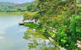 中山顺德必去景点有哪些？