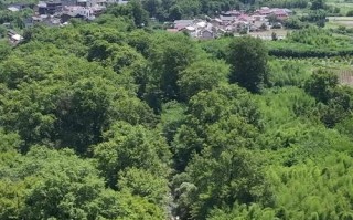 板桥自然保护区自驾游怎么玩最尽兴？