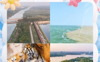 东营有哪些必打卡旅游景点？