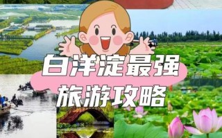 河北白洋淀旅游景点有哪些特色？