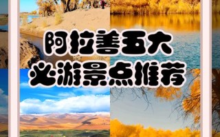 阿拉善必玩景点有哪些？