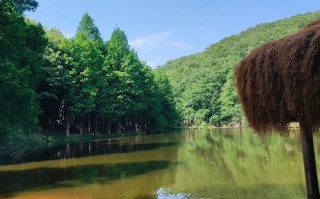 洛阳天池山风景区自驾游攻略