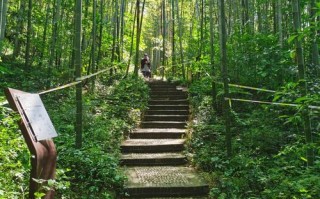 镇江南山风景区自驾游攻略有哪些？