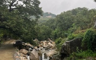 费县有哪些必游景点？