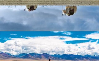 西藏自驾游需要准备什么